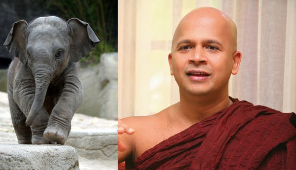 உடுவே தம்மாலோக தேரர் வைத்தியசாலையில் அனுமதிப்பு – இரகசியப் பொலிசார் விசாரணையில்