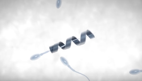 கருத்தரிப்பில் ரோபோ விந்தணுக்களை உருவாக்கும் முயற்சியில் ஜேர்மனி கருத்தரிப்பில் ரோபோ விந்தணுக்களை உருவாக்கும் முயற்சியில் ஜேர்மனி