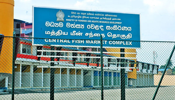 பேலியகொட மீன் சந்தை ஆன்லைன் முறையில்