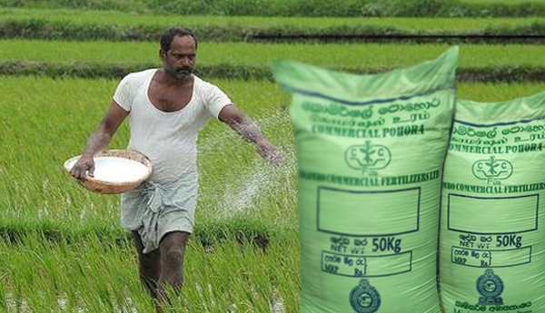 போதுமான இரசாயன உரங்கள் சந்தைக்கு