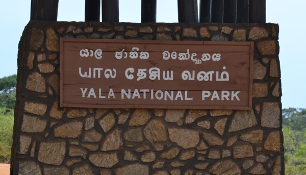யால தேசிய வனத்திற்கு ஒரு மாதம் பூட்டு