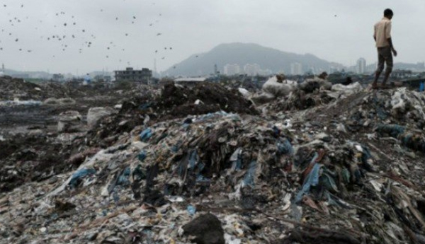 நவம்பர் மாதம் முதல் கொழும்பு குப்பைகள் புத்தளத்திற்கு…