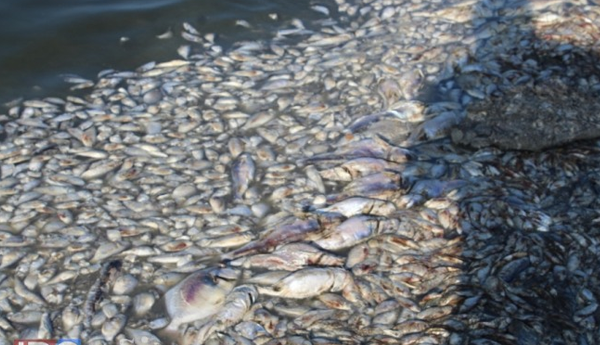 மற்றுமொரு சுனாமிக்கான அறிகுறியா இந்த வறட்சி…?