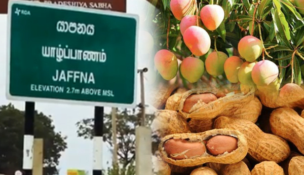 யாழில் 02  உற்பத்தி வலயங்கள் அமைக்க தீர்மானம்…