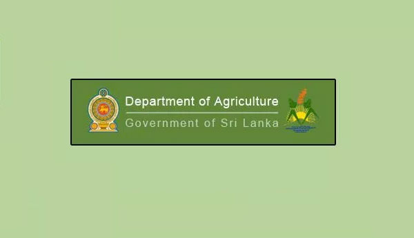 மீளவும் சோள பயிர்ச் செய்கையை மேற்கொள்ளுமாறு விவசாயிகளுக்கு கோரிக்கை… மீளவும் சோள பயிர்ச் செய்கையை மேற்கொள்ளுமாறு விவசாயிகளுக்கு கோரிக்கை…