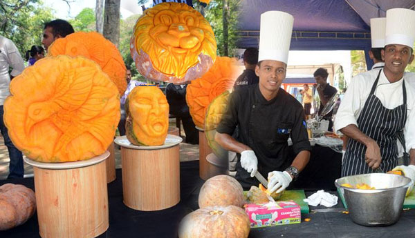 கொழும்பில் Pumpkin Famers Festival இன்று(22) ஆரம்பம்…
