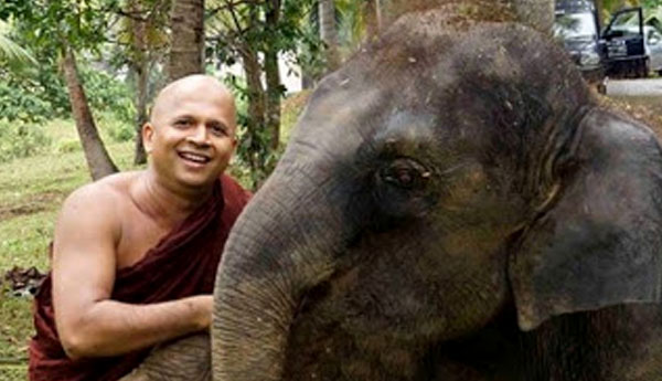 உடுவே தம்மாலோக தேரர் விடுதலை…