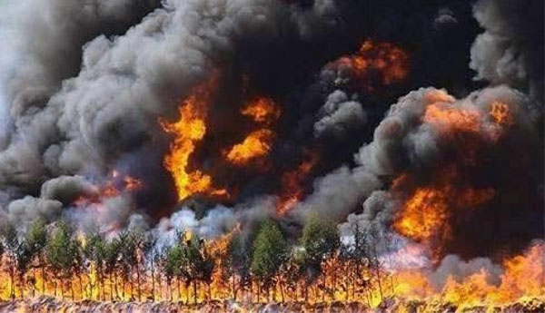 காட்டுத்தீ – 24 தீயணைப்பு வீரர்கள் உயிரிழப்பு…