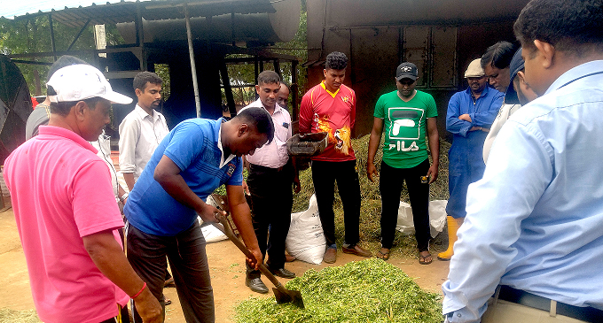 பாற்பண்ணை விவசாயின் பொருளாதார நிலையை உயர்த்த நடவடிக்கை