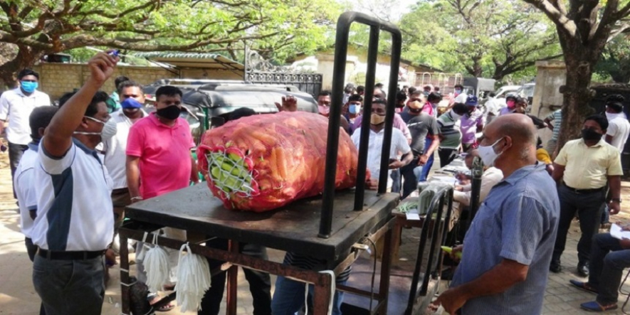 மரக்கறிகளை கொள்வனவு செய்யும் நடவடிக்கை ஆரம்பம்