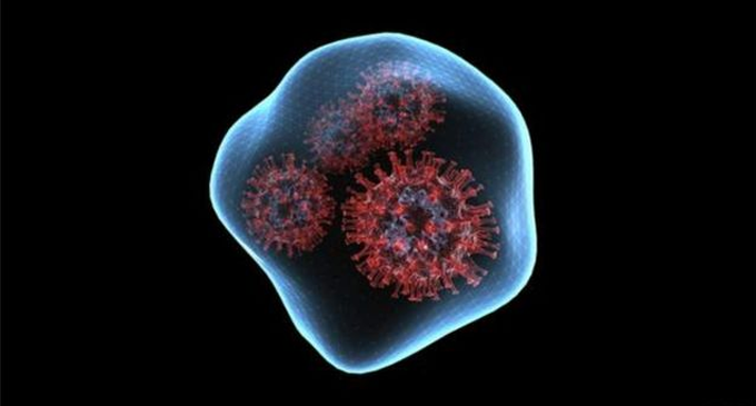 சீனாவுக்கு பயந்த ‘OMICRON’ சீனாவுக்கு பயந்த ‘OMICRON’