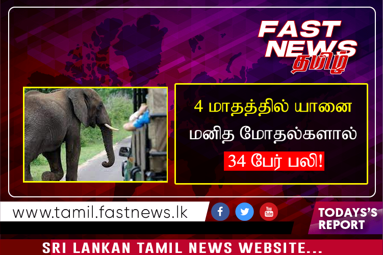 4 மாதத்தில் யானை மனித மோதல்களால் 34 பேர் பலி!