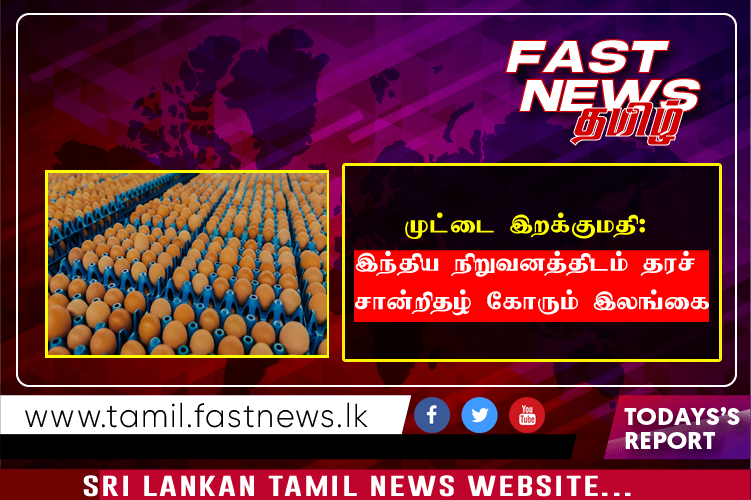 முட்டை இறக்குமதி: இந்திய நிறுவனத்திடம் தரச் சான்றிதழ் கோரும் இலங்கை