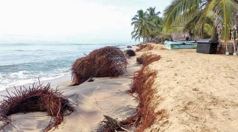 அடிக்கடி ஏற்படும் கடல் கொந்தளிப்பினால் அழிந்து போகும் நிந்தவூர் கடற்கரை..! அடிக்கடி ஏற்படும் கடல் கொந்தளிப்பினால் அழிந்து போகும் நிந்தவூர் கடற்கரை..!