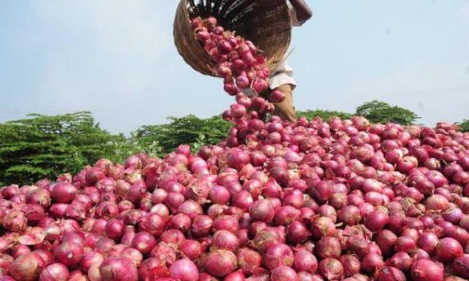 இறக்குமதி செய்யப்பட்ட பெருந்தொகையான பெரிய வெங்காயம் தம்புள்ளையில் கண்டுபிடிப்பு..!