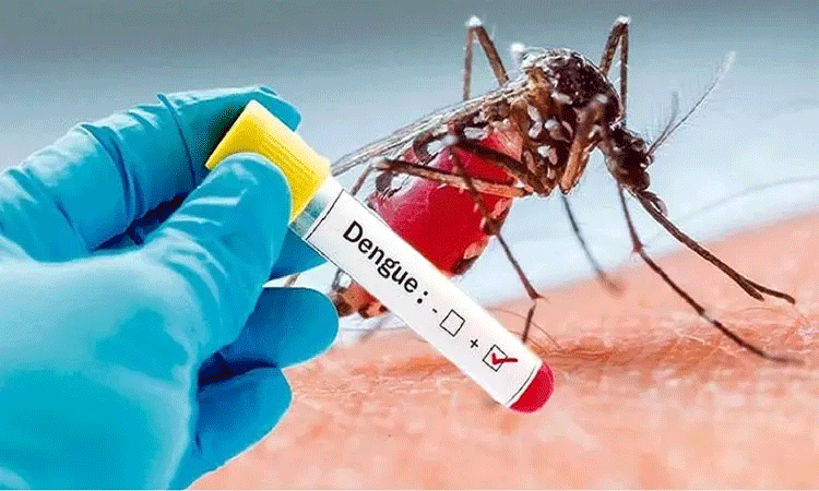 நாட்டில் தீவிரமாக பரவும் டெங்கு நோய் நாட்டில் தீவிரமாக பரவும் டெங்கு நோய்
