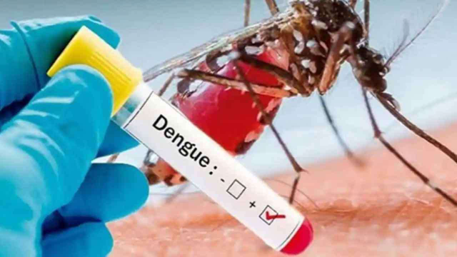 நாட்டில் தீவிரமாக பரவும் டெங்கு நோய் நாட்டில் தீவிரமாக பரவும் டெங்கு நோய்